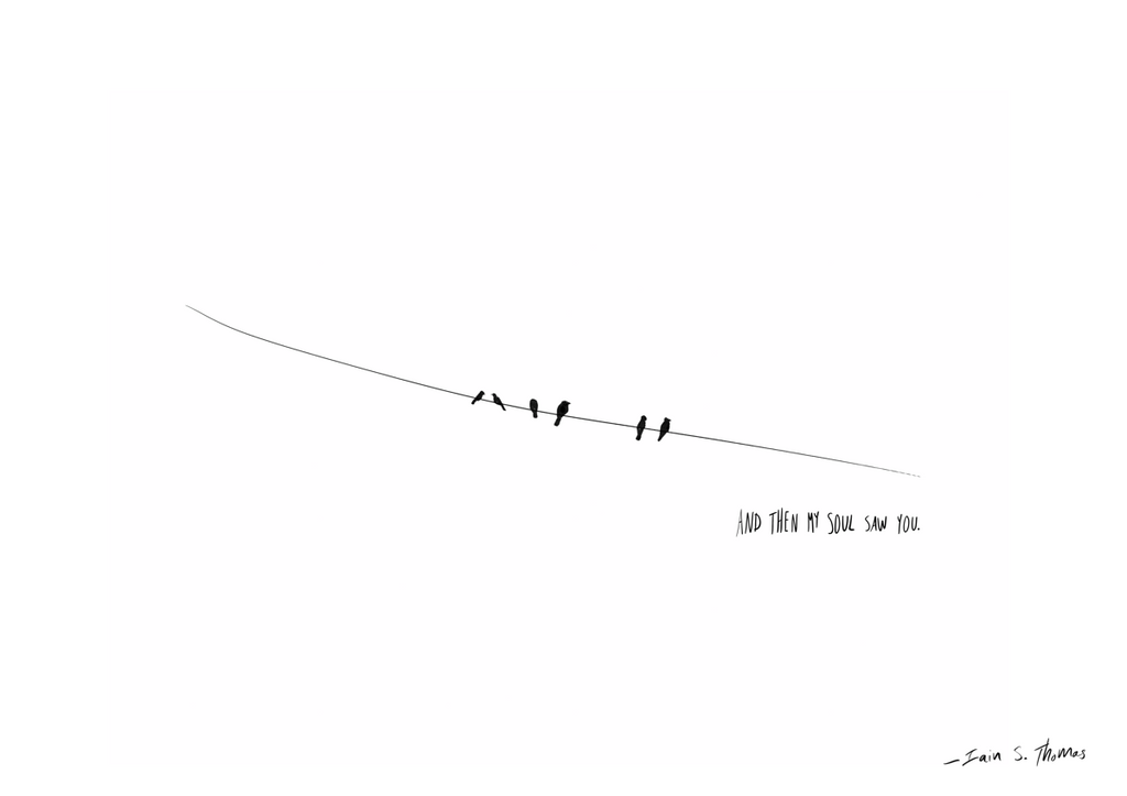 Illustration | Birds on a Wire